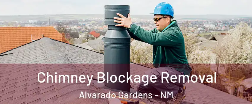 Chimney Blockage Removal Alvarado Gardens - NM
