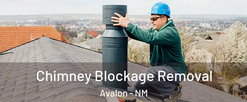 Chimney Blockage Removal Avalon - NM