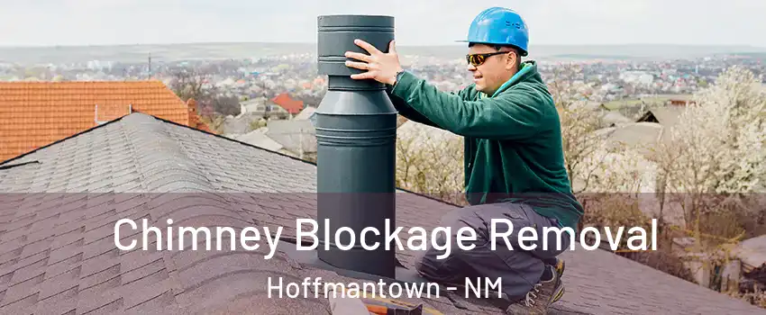 Chimney Blockage Removal Hoffmantown - NM
