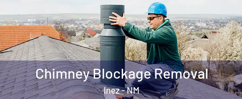 Chimney Blockage Removal Inez - NM