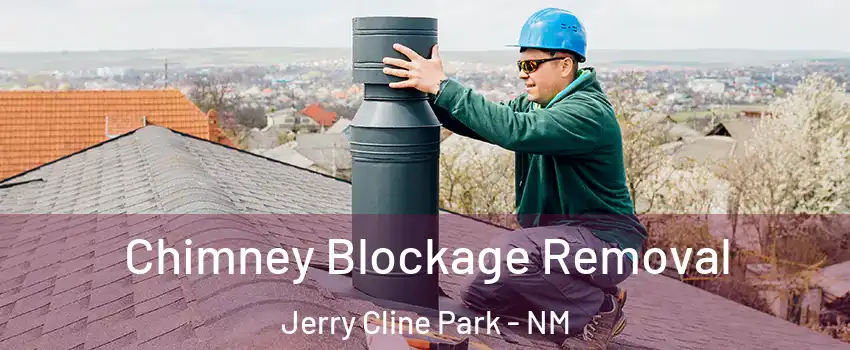 Chimney Blockage Removal Jerry Cline Park - NM