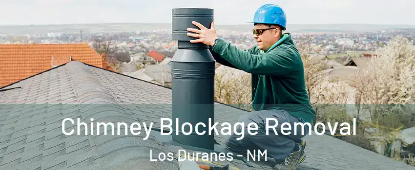 Chimney Blockage Removal Los Duranes - NM