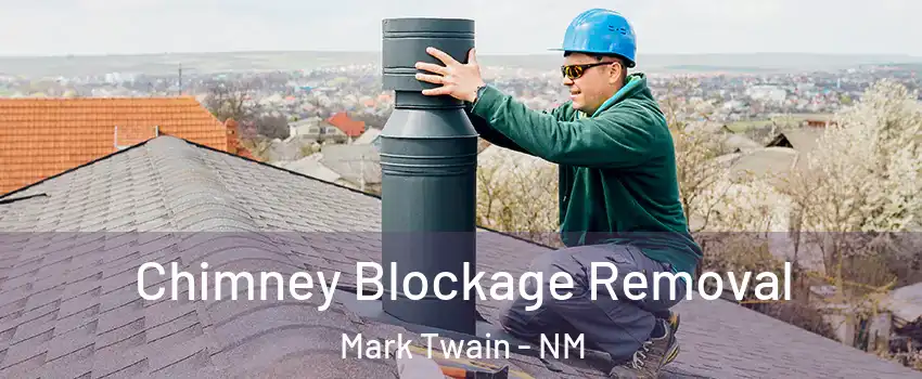 Chimney Blockage Removal Mark Twain - NM