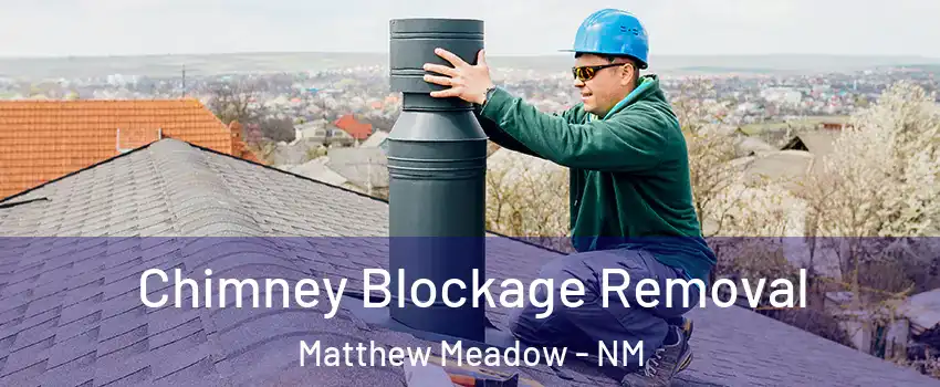 Chimney Blockage Removal Matthew Meadow - NM