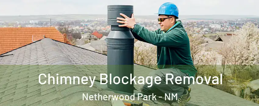 Chimney Blockage Removal Netherwood Park - NM