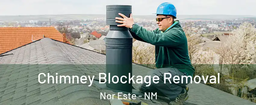 Chimney Blockage Removal Nor Este - NM
