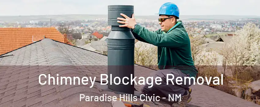 Chimney Blockage Removal Paradise Hills Civic - NM