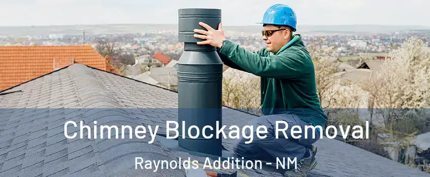 Chimney Blockage Removal Raynolds Addition - NM