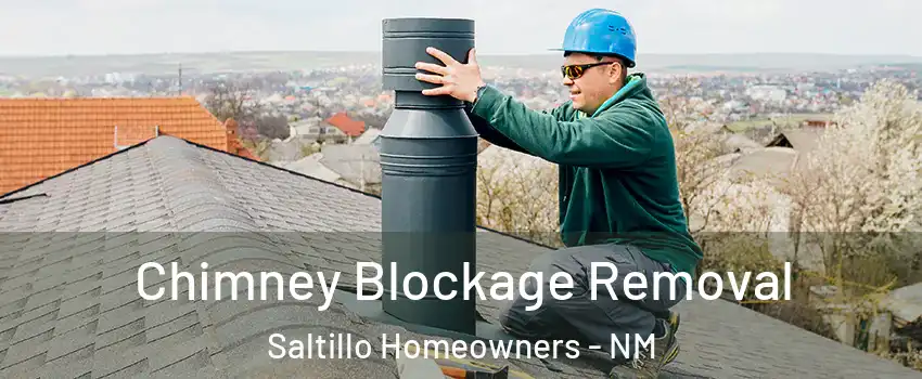 Chimney Blockage Removal Saltillo Homeowners - NM