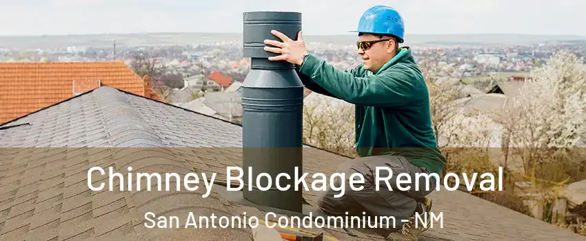 Chimney Blockage Removal San Antonio Condominium - NM
