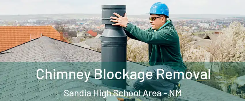 Chimney Blockage Removal Sandia High School Area - NM