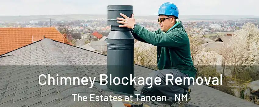 Chimney Blockage Removal The Estates at Tanoan - NM