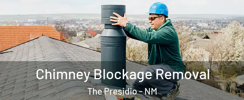 Chimney Blockage Removal The Presidio - NM