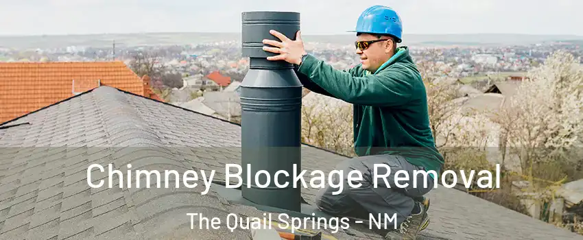 Chimney Blockage Removal The Quail Springs - NM