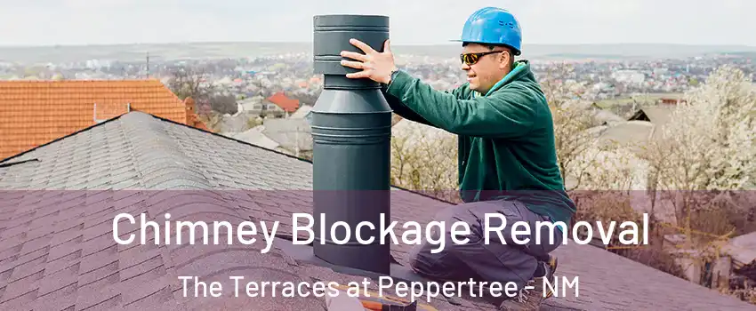 Chimney Blockage Removal The Terraces at Peppertree - NM