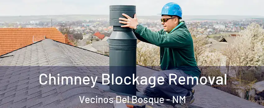 Chimney Blockage Removal Vecinos Del Bosque - NM
