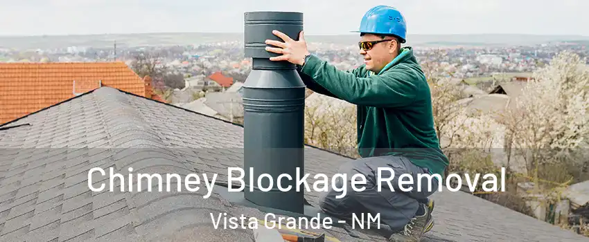 Chimney Blockage Removal Vista Grande - NM