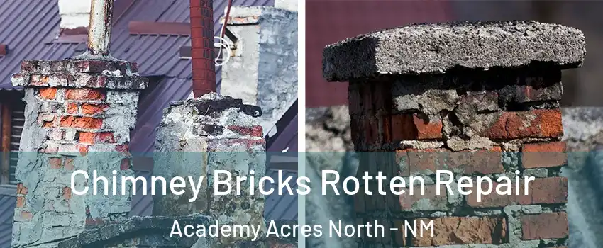 Chimney Bricks Rotten Repair Academy Acres North - NM