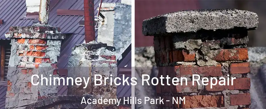 Chimney Bricks Rotten Repair Academy Hills Park - NM