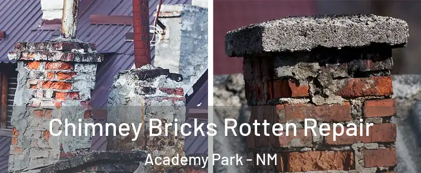 Chimney Bricks Rotten Repair Academy Park - NM