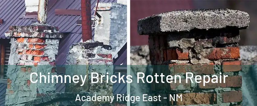 Chimney Bricks Rotten Repair Academy Ridge East - NM