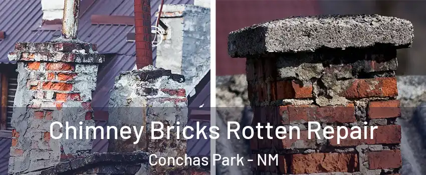 Chimney Bricks Rotten Repair Conchas Park - NM