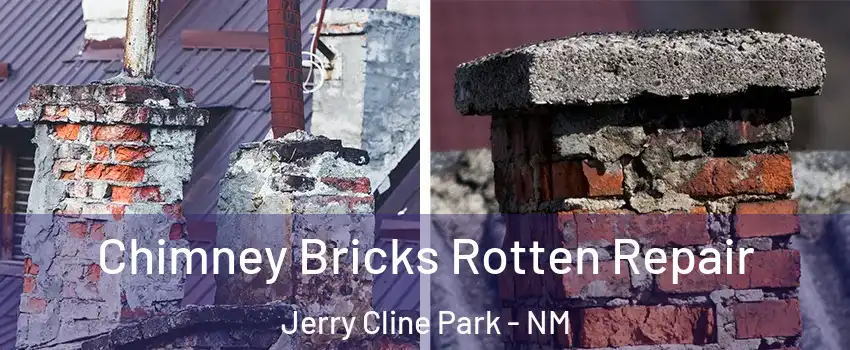 Chimney Bricks Rotten Repair Jerry Cline Park - NM
