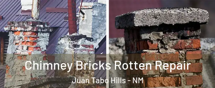 Chimney Bricks Rotten Repair Juan Tabo Hills - NM