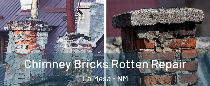 Chimney Bricks Rotten Repair La Mesa - NM