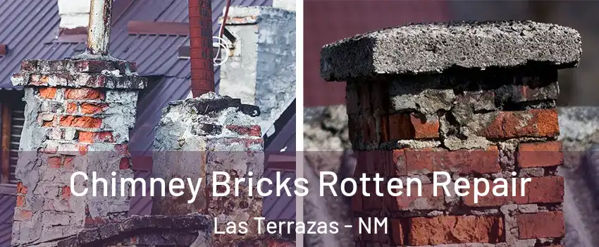 Chimney Bricks Rotten Repair Las Terrazas - NM