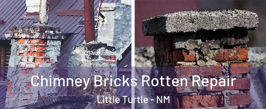 Chimney Bricks Rotten Repair Little Turtle - NM