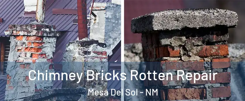 Chimney Bricks Rotten Repair Mesa Del Sol - NM