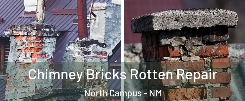 Chimney Bricks Rotten Repair North Campus - NM