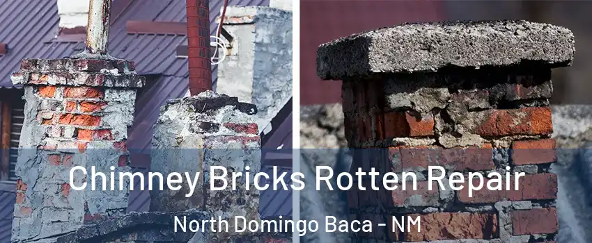 Chimney Bricks Rotten Repair North Domingo Baca - NM