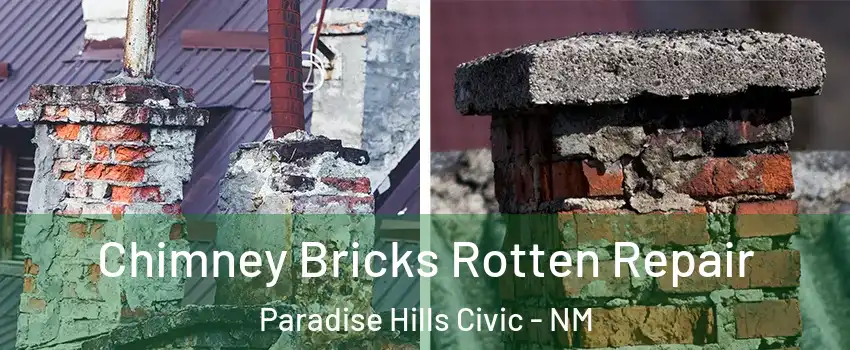 Chimney Bricks Rotten Repair Paradise Hills Civic - NM
