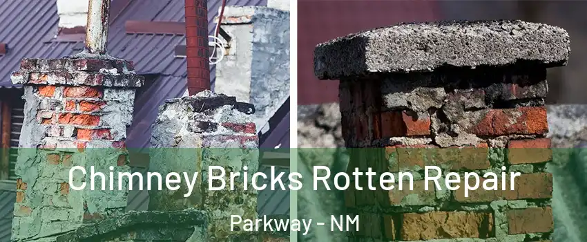 Chimney Bricks Rotten Repair Parkway - NM