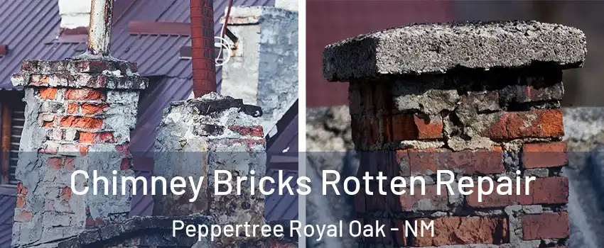 Chimney Bricks Rotten Repair Peppertree Royal Oak - NM