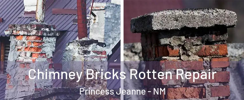 Chimney Bricks Rotten Repair Princess Jeanne - NM