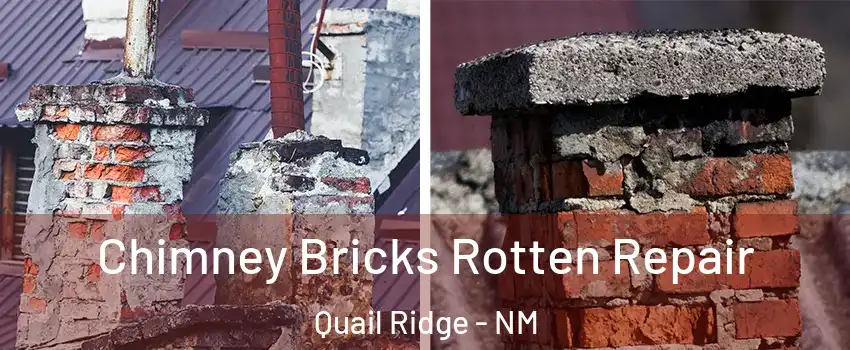 Chimney Bricks Rotten Repair Quail Ridge - NM
