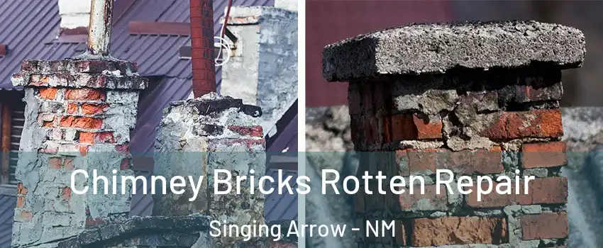 Chimney Bricks Rotten Repair Singing Arrow - NM