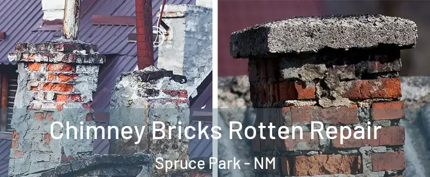 Chimney Bricks Rotten Repair Spruce Park - NM