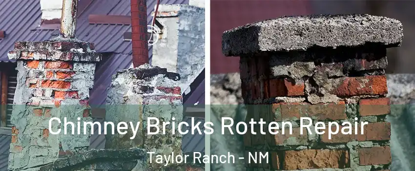 Chimney Bricks Rotten Repair Taylor Ranch - NM
