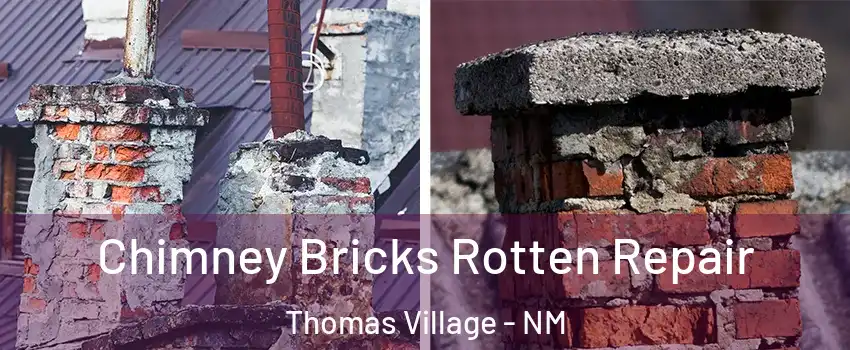 Chimney Bricks Rotten Repair Thomas Village - NM