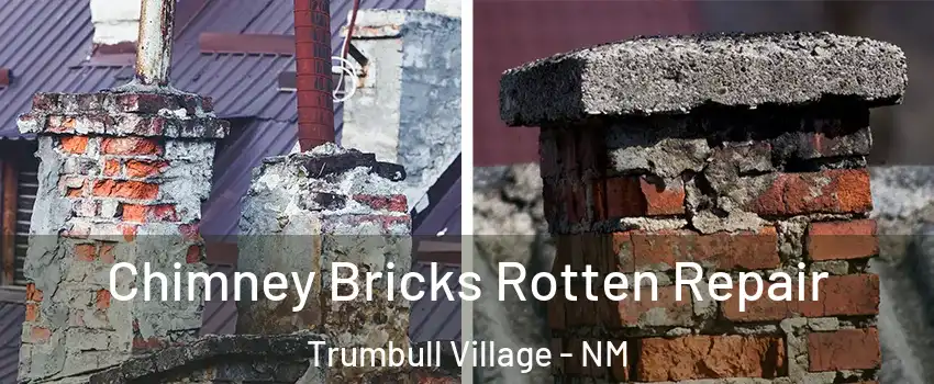 Chimney Bricks Rotten Repair Trumbull Village - NM