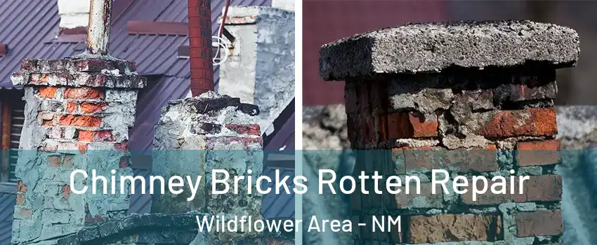 Chimney Bricks Rotten Repair Wildflower Area - NM