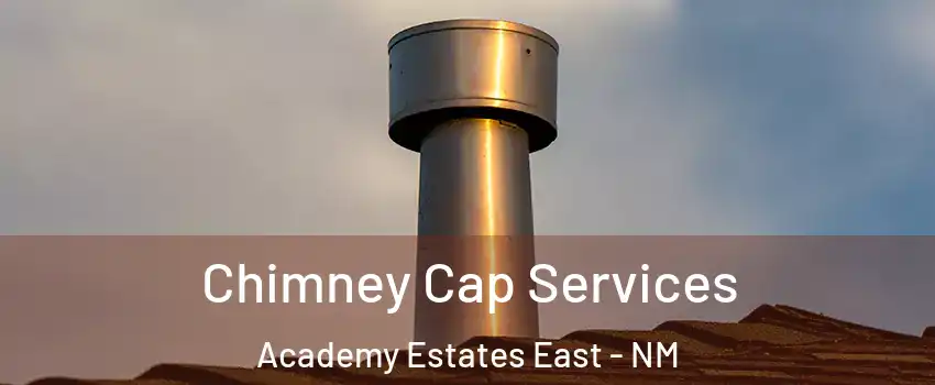 Chimney Cap Services Academy Estates East - NM