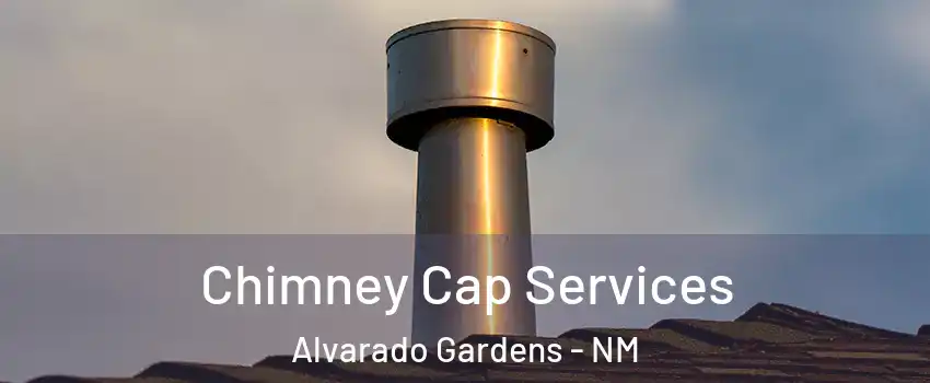 Chimney Cap Services Alvarado Gardens - NM