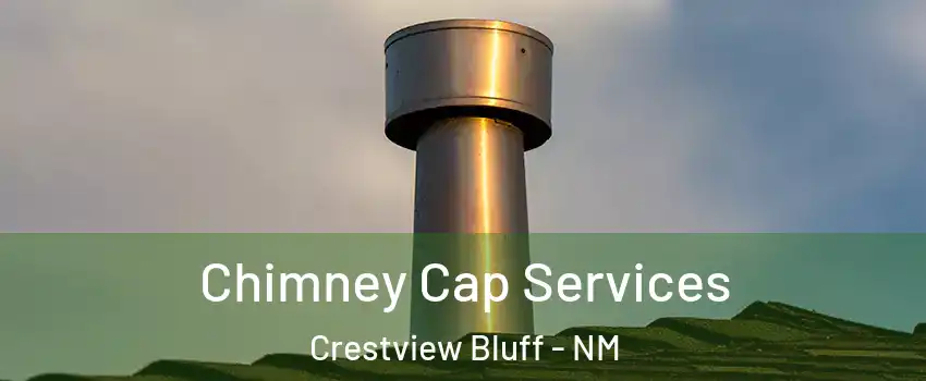 Chimney Cap Services Crestview Bluff - NM