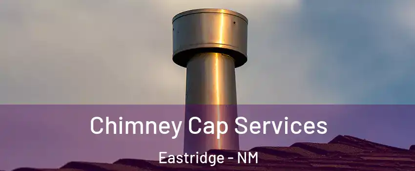 Chimney Cap Services Eastridge - NM