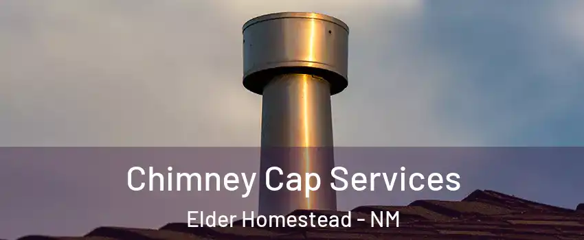Chimney Cap Services Elder Homestead - NM